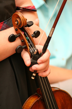 violin bow picture